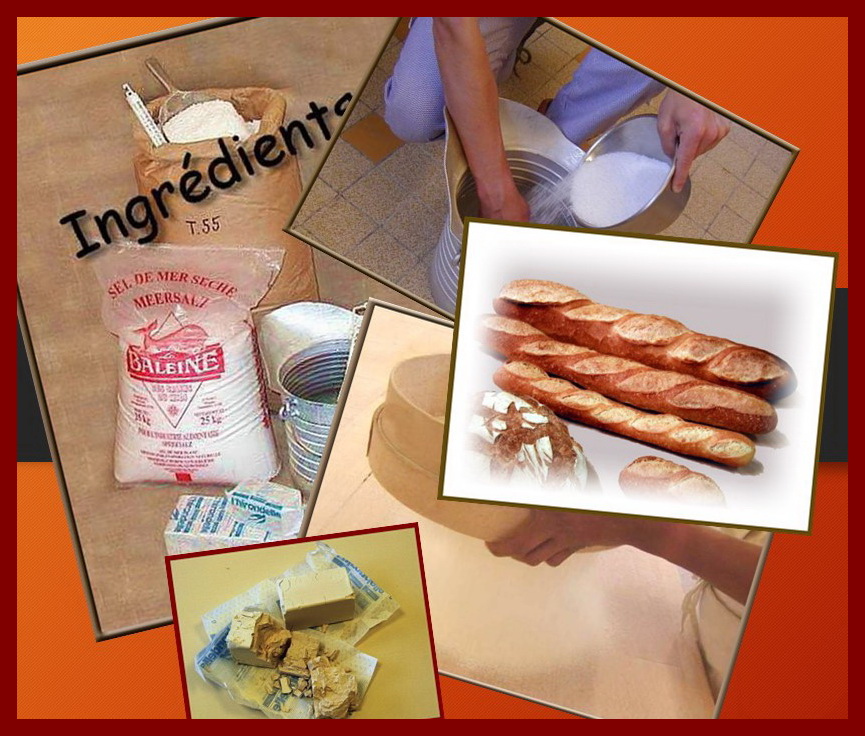 Constituants Pain et Pâte
