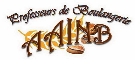 logo-aainb