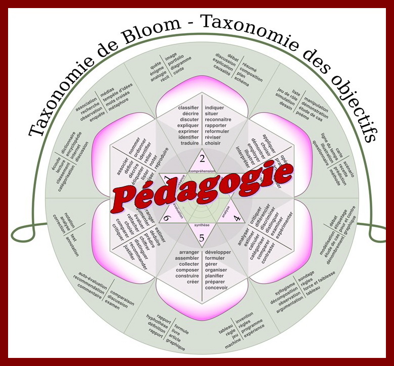 Pédagogie