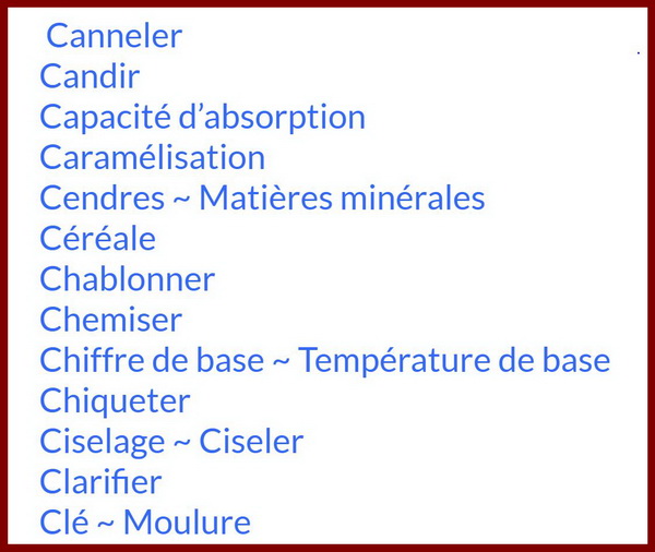 Vocabulaire Professionnel